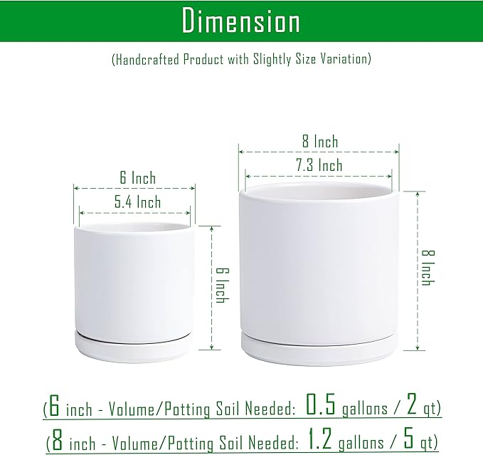 D'vine Dev 6 Inch & 8 Inch Ceramic Planter Pots for Plants with Drainage Hole and Saucer, Medium Plant Pots Set, White, 94-G-M-1
