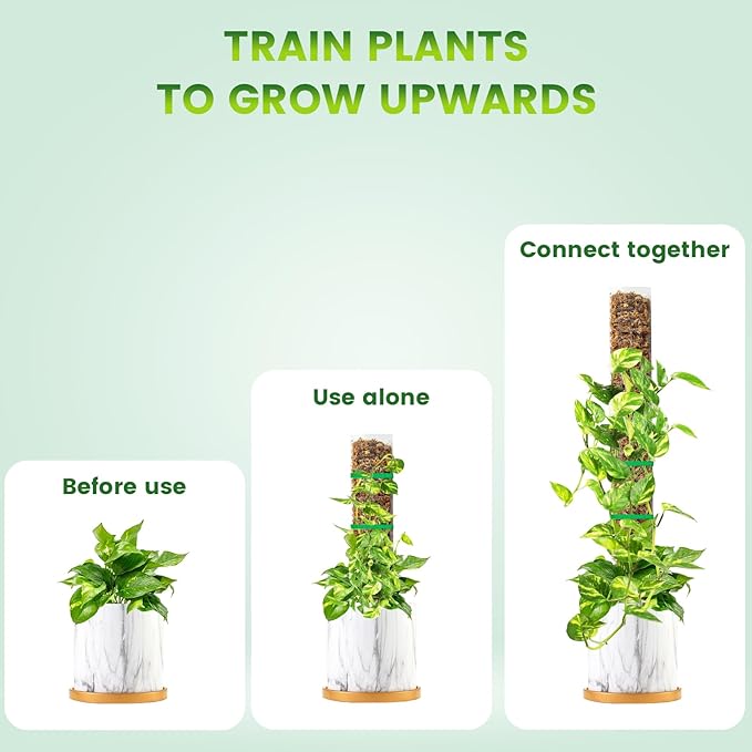 15 Inch 6 Pcs Plastic Moss Pole for Plants Monstera, 6×15'' Plant Poles for Climbing Plants, Plant Support for Indoor Plants Work with Sphagnum Moss