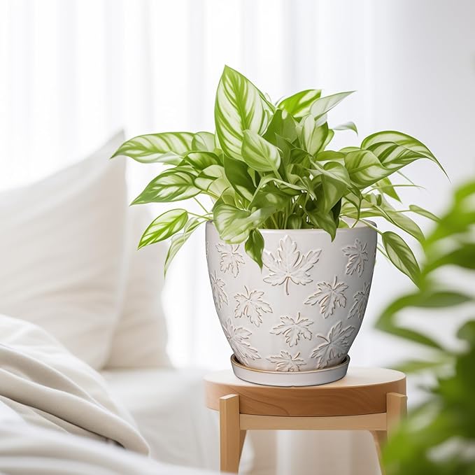 Ceramic Pots for Plants - 8 Inch Plant Pot with Drainage Hole and Saucer Large Planter Pot for Indoor Plants Outdoor Modern Flower Pot Home Decor White