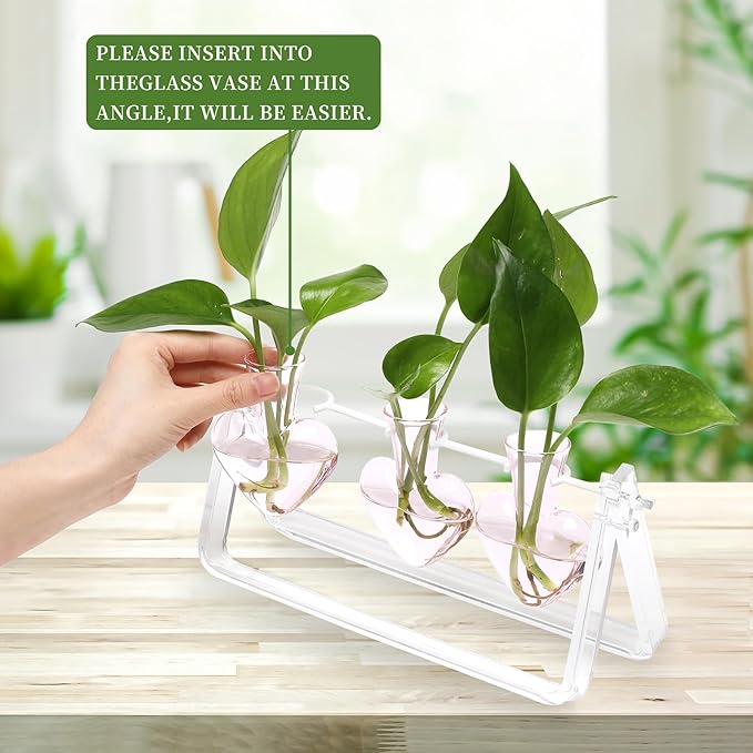 Plant Terrarium Propagation Stations with Acrylic Stand Birthday Gifts for Women Plant Stand Indoor Office Home Decor