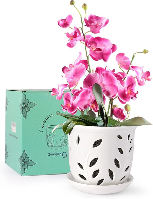 Orchid Pot with Holes & Saucers, 6.1 inch Ceramic Large Orchid Planter for Repotting, Flower Plant Pot with Drainage for Indoor Outdoor Home Decor, White