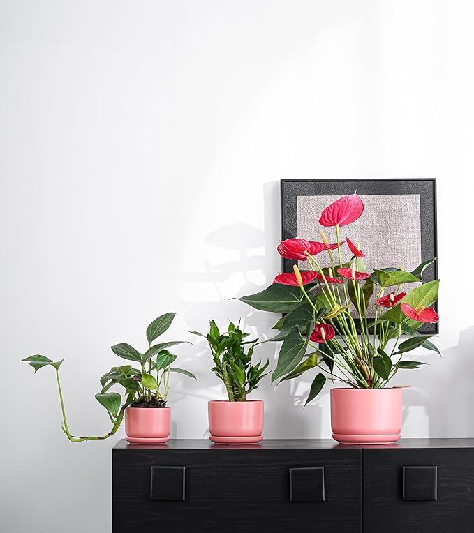 Ton Sin Plant Pots, 4.1+5.1+6.5 inch, Set of 3, Ceramic Planters with Drainage Hole and Saucer, Indoor Flower Pot with Hole Mesh Pad, Gifts for Mom(Matte Orange)