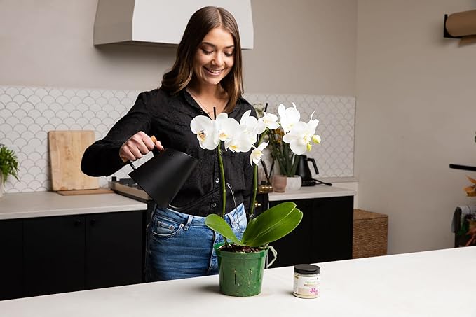 rePotme 5 inch Orchid Pot 3 Pack - Slotted Orchid Pots with Holes for Repotting (Crystal Clear)