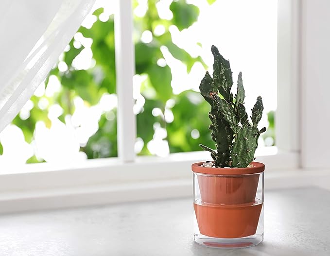 D'vine Dev 4 Inch Design Self Watering Planter for Indoor Plants, Terracotta Pot with Cylinder Glass Cup, Set of 4, 37-X-A-4