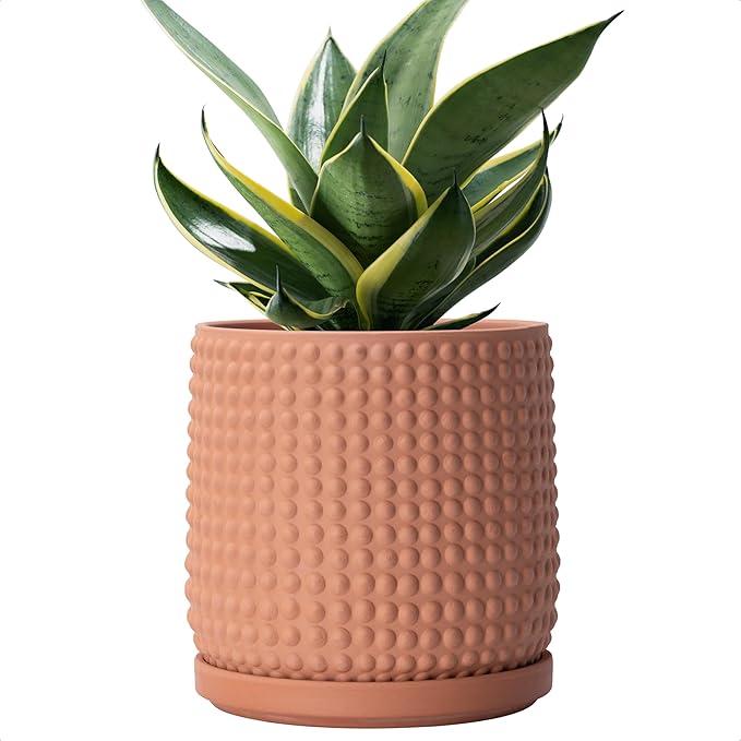 D'vine Dev 6 Inch Terracotta Beaded Planter Pot - Flower Pot with Drainage Hole and Saucer for Indoor Succulent Plants or Flowers, Terracotta, 27-C-X-7