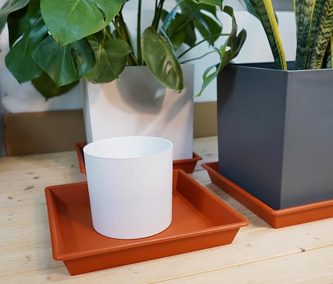 Square Plant Saucer 12 Inch 5 Pack, Plant Stand Plant Trays for Pots Heavy Duty Plastic Plant Saucers for Indoors Outdoors, Flower Pot No Holes Terracotta Plant Lover Gardening Gifts