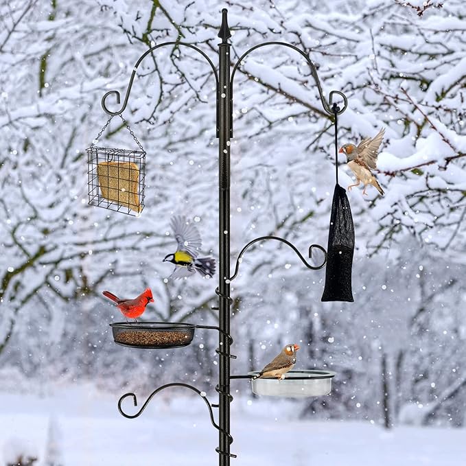 Premium Bird Feeding Station Kit - Multi Feeder Hanging Set with Suet Cage, Bird Bath & Finch Sock Attractors