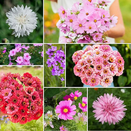 Eden Brothers Tickled Pink Flower Mixed Seeds for Planting, 5 lb, 2,400,000+ Seeds with Cosmos, Cornflower, Zinnia | Attracts Pollinators, Plant in Spring or Fall, Zones 3, 4, 5, 6, 7, 8, 9, 10