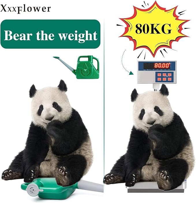 XXXFLOWER 1.5 Gallon Green Watering Can Outdoor Garden Flower Plant, Lightweight 6 L Water Cans with Detachable Nozzle Watering Pot for Office House Garden