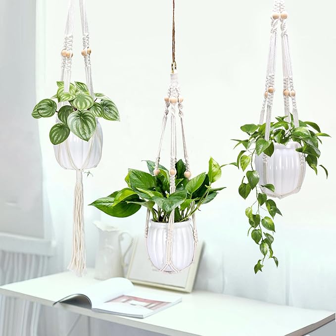Small Hanging Planters Self Watering 5 Inch, 3 Set Hanging Plant Pot for Indoor Outdoor Plants, Hanging Flower Pots with Drainage Hole & 2 Kinds of Plant Hangers for Garden Home Decor