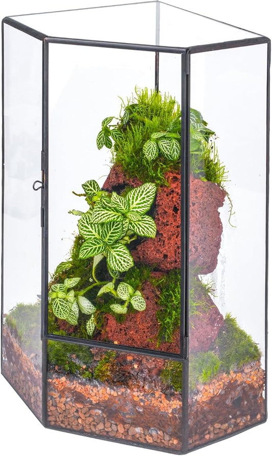 NCYP Wall Corner Geometric Glass Terrarium, Closed Front Opening Door Container Planter for Succulents, Small Plants - Black, Indoor Decor, Tabletop Landscape, 6.1" x 6.1" x 11.8" (Terrarium Only)