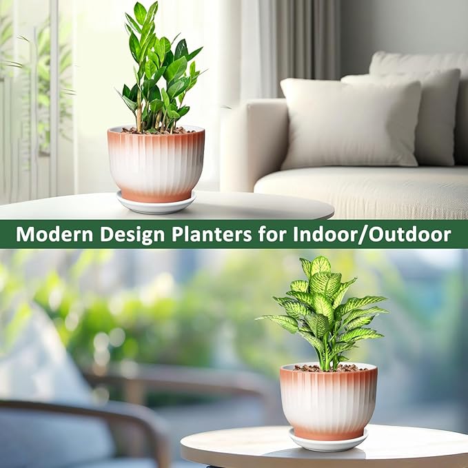8 Inch Plant Pot, Ceramic Planter with Drainage and Saucer, Ceramic Pots for Plants, Indoor Plant pots,Ceramic Flower pots(Orange+ White, Plants NOT Included)