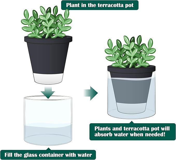 D'vine Dev 4 Inch Design Self Watering Planter for Indoor Plants, Black Terracotta Pot with Cylinder Glass Cup, Set of 2, 37-Y-A-3