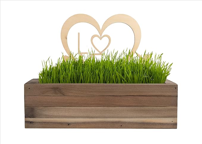 Cat Grass for Indoor Cats Kit – Limited Edition with Decorative Planter, Cat Trellis & Organic Seeds, Free Cat Toy & Catnip Spray for Ultimate Kitty Joy (AW)