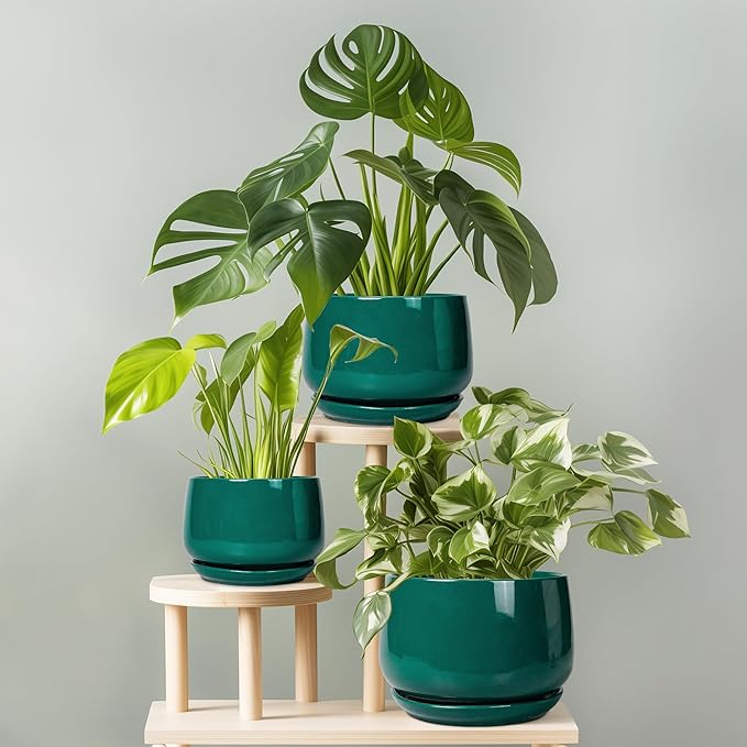 G EPGardening Ceramic Pots for Plants - 9 Inch Ceramic Planter for Indoor Plants, Round Planter with Drainage and Saucer, Modern Flower Pots for Outdoor, House Decor, Garden Gifts, Green