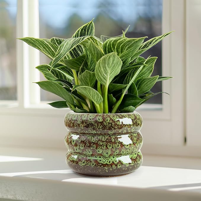 Ceramic 6 inch Plant Pot - Planter for Indoor Plants with Drainage Hole, Flower Pots for Orchid, Succulent,Outdoor Plants, Modern Glaze Planters for Home Office Decor Gift