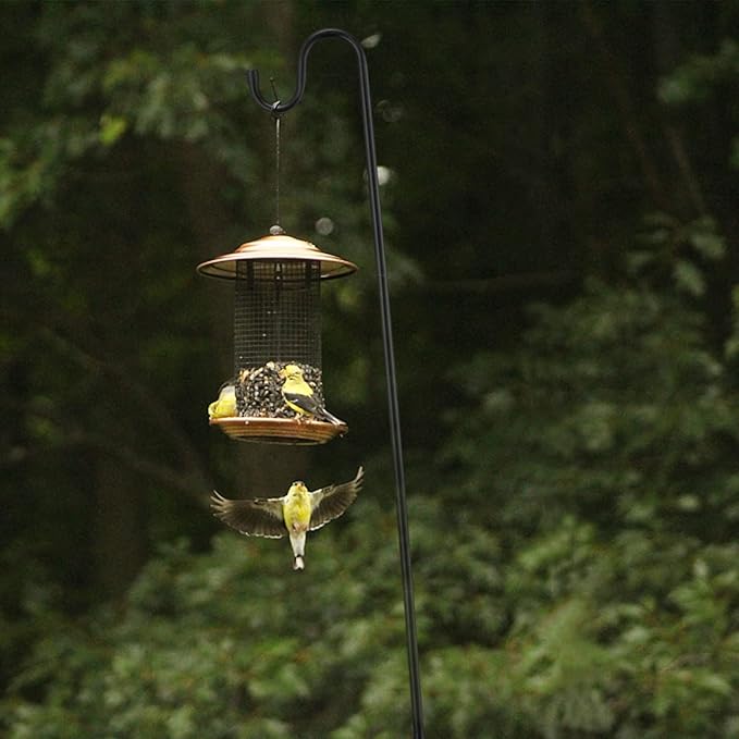 Bird Feeder Pole, 30 Inch & 5/8 Inch Diameter Stainless Steel Heavy Duty Shepherds Hooks for Outdoor to Hang Outdoor Lights with 5 Prongs Base, Rustproof for Garden Decor or Wedding Decors(Black)