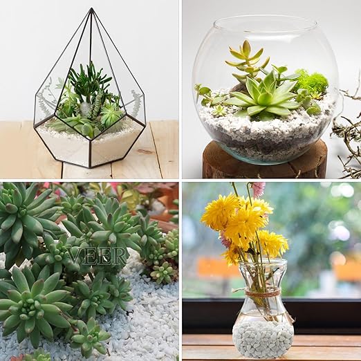 2lbs White Pebbles for Indoor Plants, 3/8inch Small Rocks for Succulent Cactus Planters, Natural Polished Pebbles, River Rocks for Plants, Vases, Garden