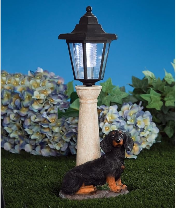 Bits and Pieces - Solar Dog Lantern-Solar Powered Garden Lantern - Resin Dog Sculpture with LED Light (Dachshund)