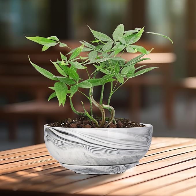 G EPGardening 8in Marble Pattern Large Round Succulent Planter Pot Modern Flower Pot Indoor and Outdoor Planter with Marble Tray