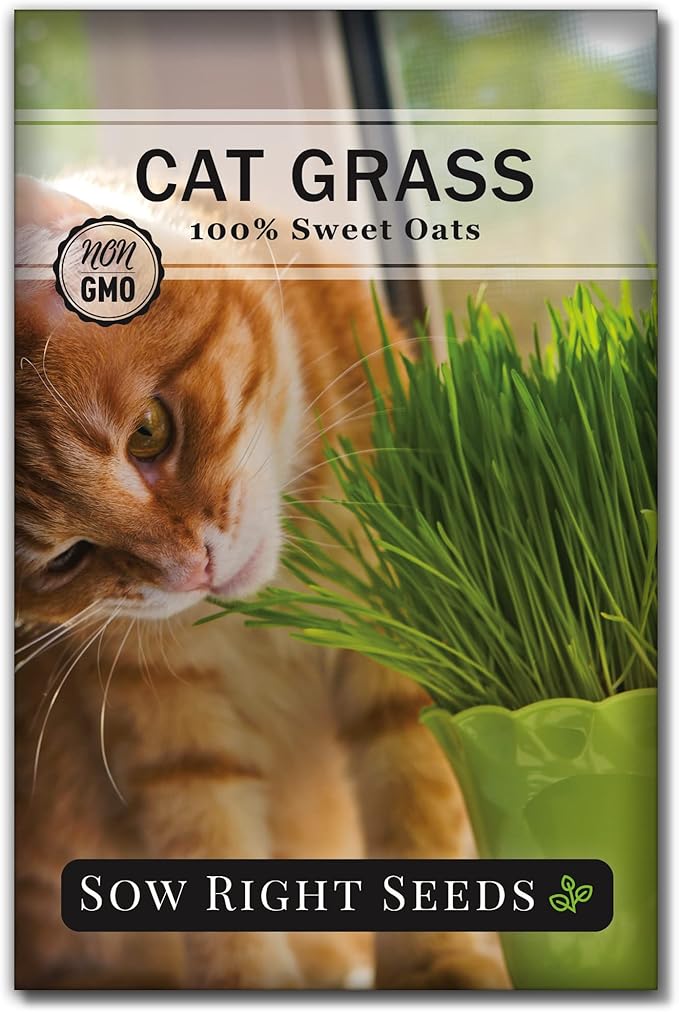 Sow Right Seeds - Cat Grass Seeds for Planting - 100% Sweet Oats - Non-GMO Heirloom Healthy Greens for Cats and Dogs - Easy to Grow - Safe & Natural Indoor Use - Ideal for Pet Lovers