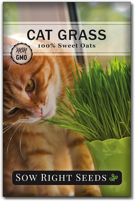 Sow Right Seeds - Cat Grass Seeds for Planting - 100% Sweet Oats - Non-GMO Heirloom Healthy Greens for Cats and Dogs - Easy to Grow - Safe & Natural Indoor Use - Ideal for Pet Lovers