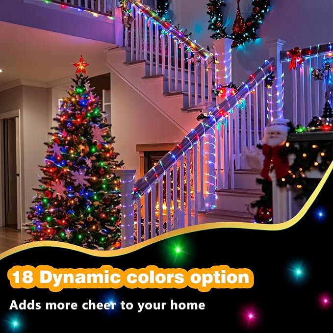 LED Rope Lights Indoor with USB Powered, 66Ft (33Ft X 2 Pack) 200 LED String Lights Outdoor with Remote,16 Color Changing Rope Lights for Outside Garden Party Wedding Christmas
