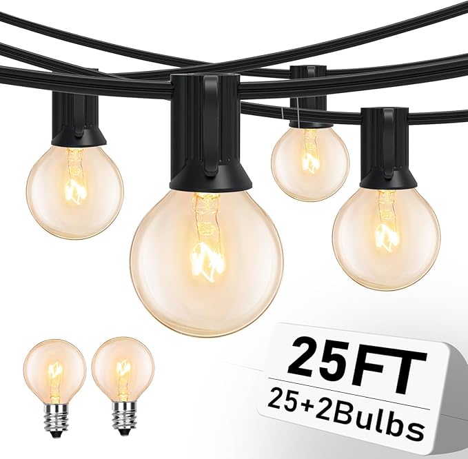 25FT String Lights, G40 Outdoor String Lights Edison Light Bulbs Clear Globe Lights for Backyard Patio Lights Indoor/Outdoor Commercial Decoration -5 Watt/120 Voltage/E12 Base -Black Wire