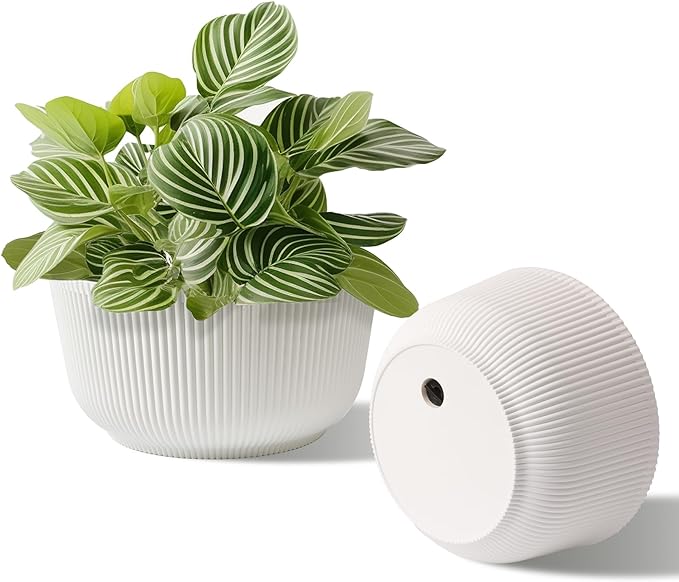 T4U Plant Pots 8 Inch, 2 Pack Self Watering Indoor Planter with Drainage Hole, Shallow Plant Pot, Home Decor Flower Pots for Plants, Herbs, Garden, White
