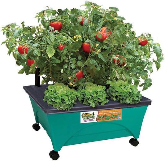 Emsco Group 2360 Little Pickers Raised Bed Children’s Improved Aeration – Mobile Unit with Casters – Teaches Kids Self Watering Grow Box, Teal