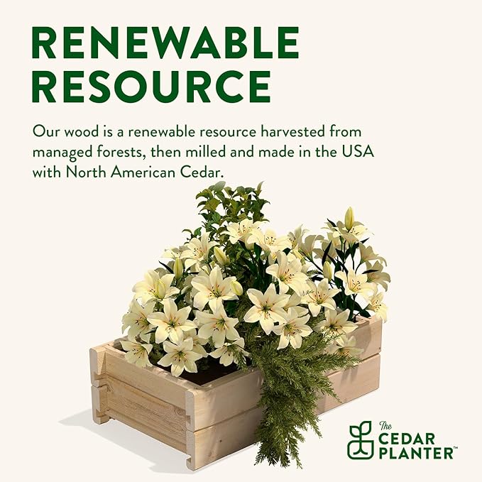 Greenes Fence Cedar Wood Planter Box, 21" x 11" x 7" (4-Pack) - Made in USA with North American Cedar