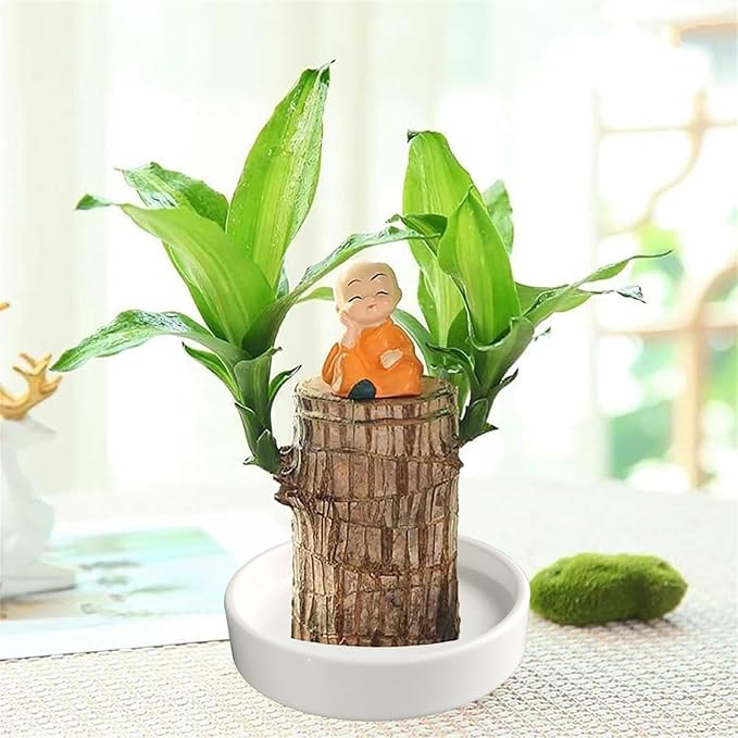 Plant Saucer Pot Tray Planter Saucers 4 Pack 4 5 6 7 8 9 10 11 12 13 Inch for Indoors Outdoor, Durable Sturdy Ceramic Flower Drainage drip Water Tray for Glazed Pots Base (4.7 Inch-White)