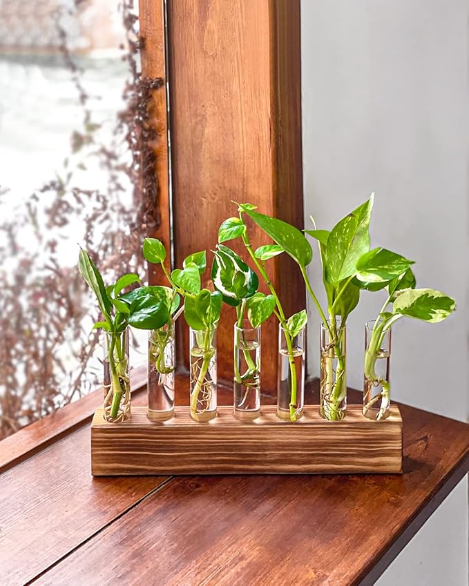 KAXYEW Plant Terrarium with Wooden Stand, Plant Propagation Tubes, 7 Test Tubes Glass Planter for Hydroponic Plant Cuttings Home Office Décor