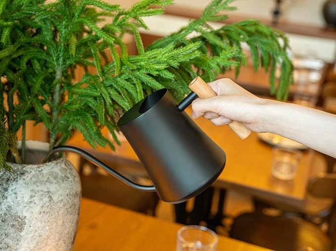 Green Moon Water Can Indoor Plant Black 35oz with Long Spout Mini Water Can Indoor Metal Watering Can Pot for Indoor House Plant Bonsai Outdoor Garden Flowers Modern Decorative