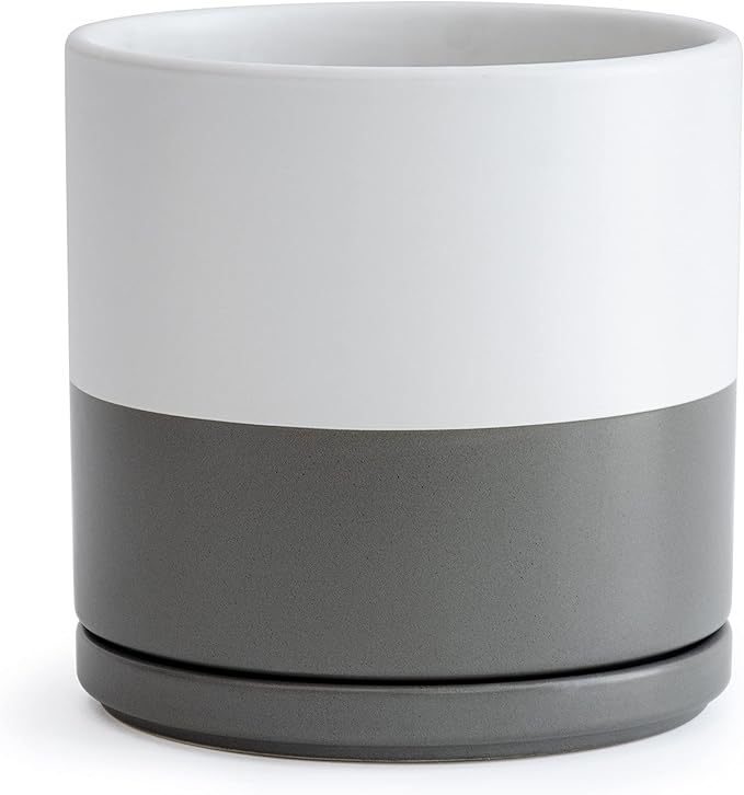 D'vine Dev 8 Inch Ceramic Planter Pot with Drainage Hole and Saucer, Indoor Cylinder Round Planter Pot, White/Speckled Grey, 94-O-D-6