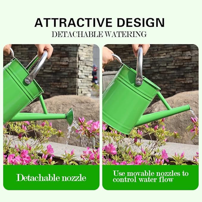 Metal Watering Can, One Gallon Watering Cans Stainless Steel for Outdoor Indoor Garden Plants Watering (Stainless Steel Handle Green)