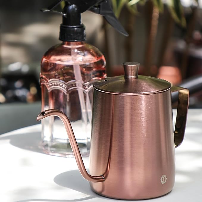 OFFIDIX Watering Can for Indoor Plants Long Spout Metal Stainless Steel 21 oz/600 ml Small Watering Can with 14 oz/400ml Glass Plant Mister Spray Bottle for Plants Bonsai