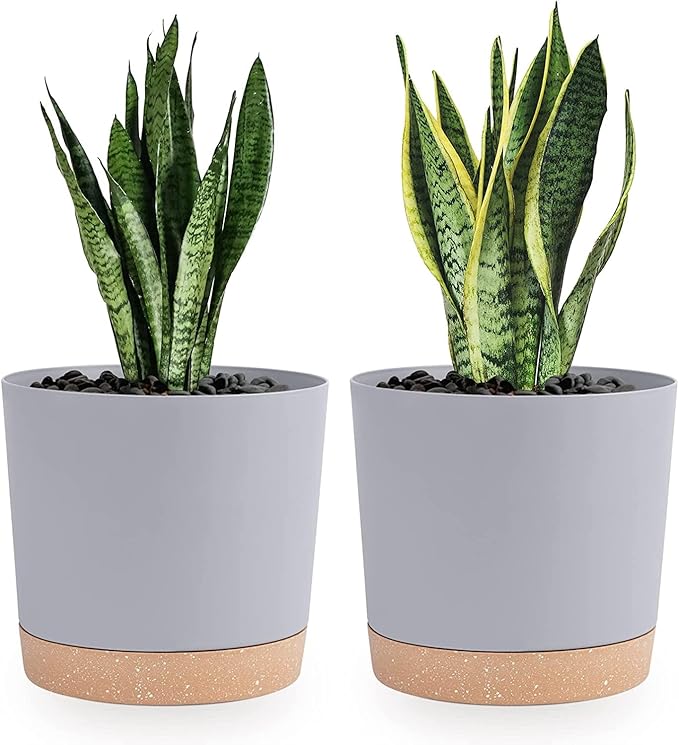 QCQHDU 8 inch Plant Pot, 2 Pack Planters for Indoor Plants with Drainage Holes & Saucer, Outdoor Flower Pots Home Garden Modern Decor