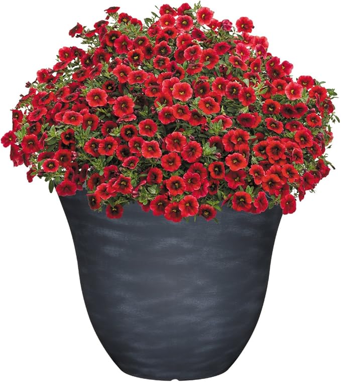 Classic Home and Garden Honeysuckle Resin Flower Pot Planter, Zinc Grey, 15"