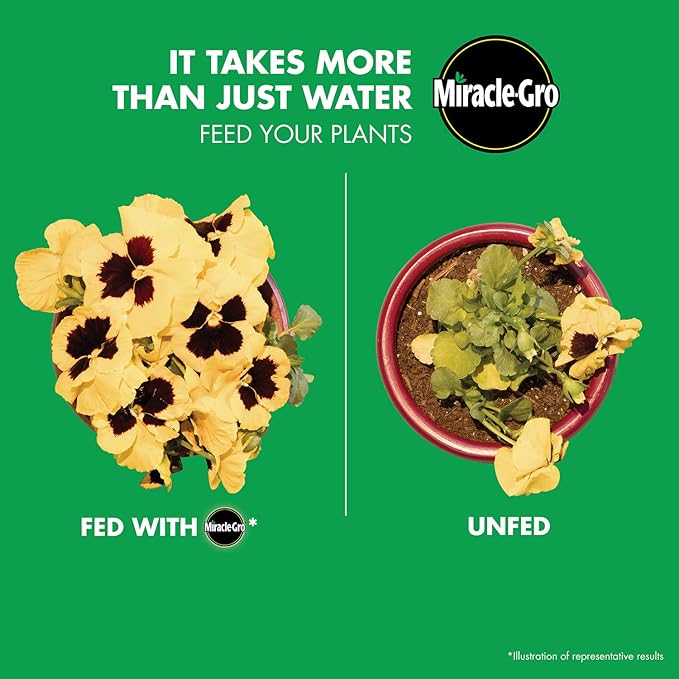 Miracle-Gro Garden Feeder 1 lb. 2-pack