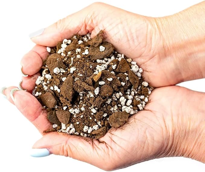 Premium Aloe Vera Potting Soil Mix - (4 Quart Bag)