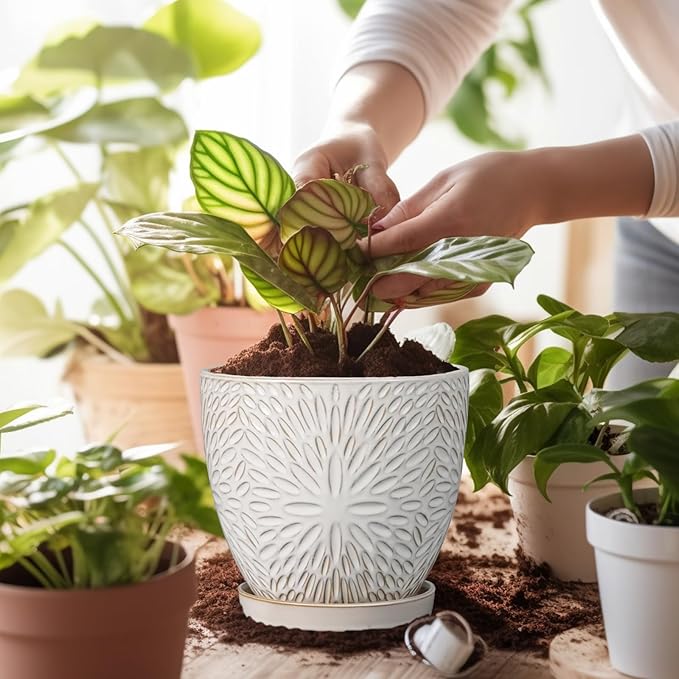 G EPGardening 6 Inch Plant Pot for Indoor Plants Outdoor Round Ceramic Planter Decorative Flower Pot with Drainage Hole and Saucer White