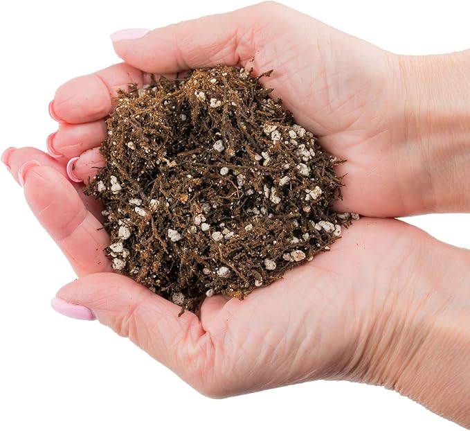 Fern + Perlite Soil Mix - 10 Quart - for Repotting and Planting Succulents and Cactuses (2 Bags of 5 Quart)