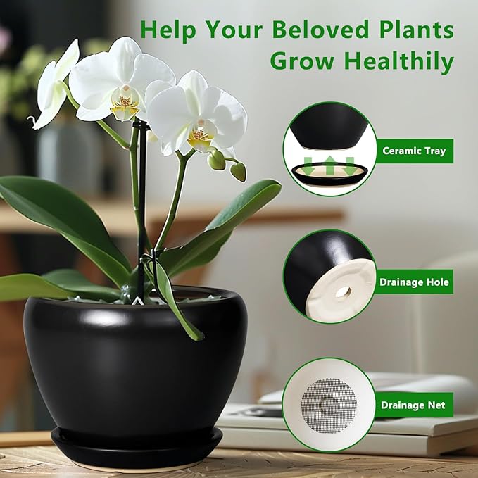 Ceramic Planter Pot - 6 Inch Plant Pot with Drainage Hole and Saucer Round Planter for Indoor Plants Outdoor Succulent Pot Modern Flower Pot for Home Decor Black