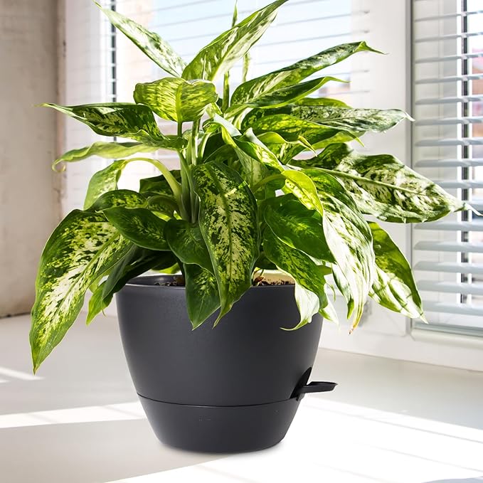 10/9/8 inch Medium Self Watering Pots, Plant Pots with Mesh Drainage Holes for Indoor Outdoor Garden Plants, Flower Pots with Removable Deep Reservoir, Set of 3 Plastic Planters, Black