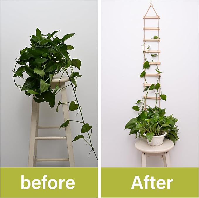 Sturdy Climbing Plants Trellis - Natural Wood Ladder Design for Indoor & Outdoor Use, Easy Installation, Reliable Support for Vines & Climbers, Modern Home Decor, Durable Plant Support System