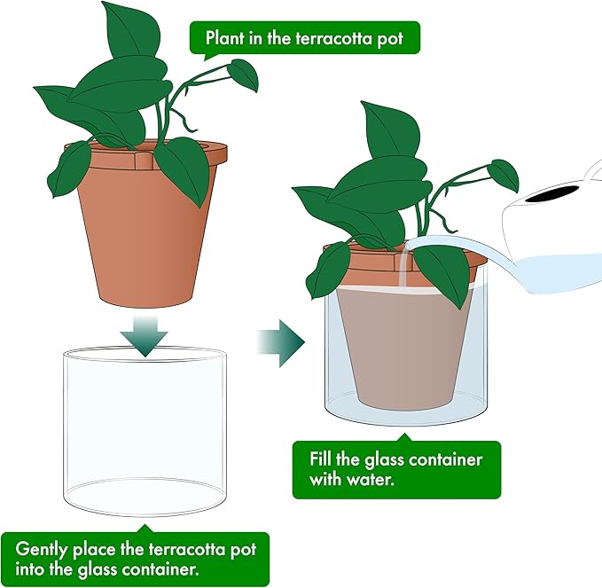 D'vine Dev 8 Inch Design Self Watering Pot for Indoor Plants, Terracotta Planter with Cylinder Glass Cup, 37-X-C-1