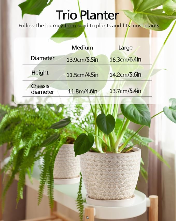 Plant Pots, Flower Pots, Planters for Indoor Plants(6.5+5.5inch), Flower Pots for Indoor Plants with Drainage Hole and Saucer, Ceramic Pots for Plants with Hole Mesh Pad,Reactive Glaze White