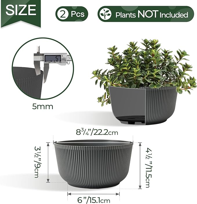 T4U 8 Inch Plant Pots, 2 Pack Self Watering Planter with Drainage Hole, Shallow Plant Pot Indoor, Home Decor Flower Pots for Plants, Cactus, Garden, Gray