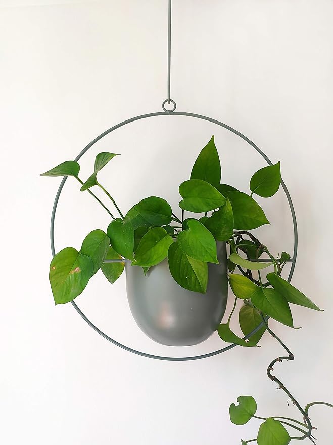 Boho Green Metal Plant Hanger,Metal Wall and Ceiling Hanging Planter, Modern Planter, Mid Century Flower Pot Plant Holder, Minimalist Planter for Indoor Outdoor Home Decor